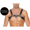 Ouch! Harness Harnais Chest Bulldog Noir